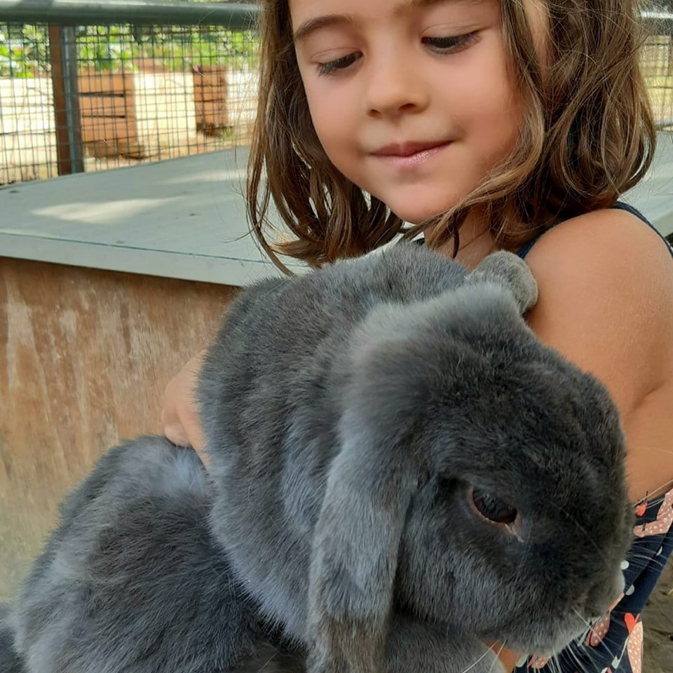 Una bambina tiene in braccio un coniglio dell’Arca