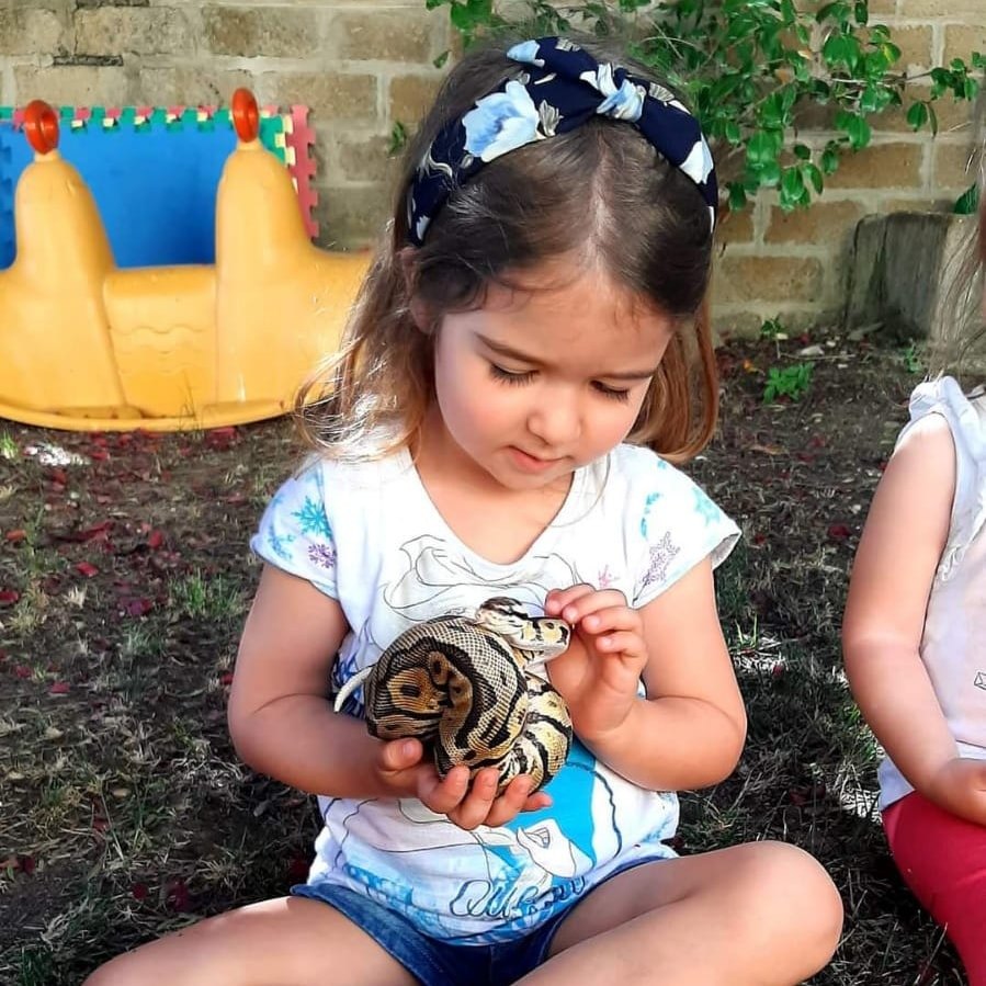 Una bambina incontra un pitone durante una visita guidata