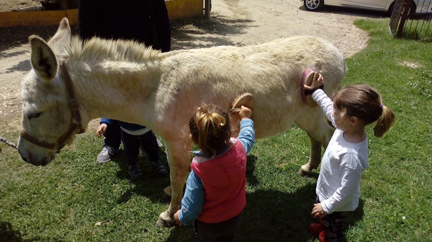 Una visita educativa all’Arca