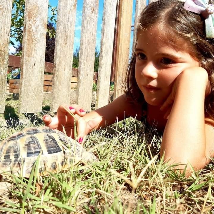 Una bambina osserva una tartaruga durante la visita